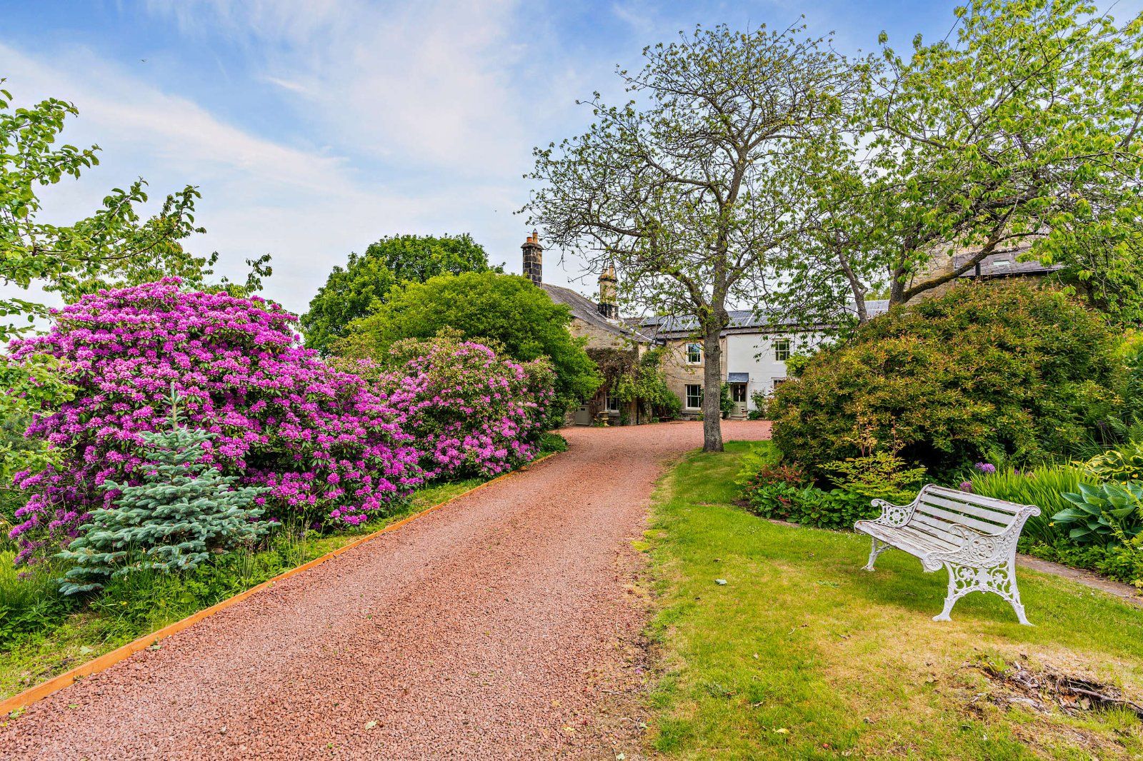 Driveway