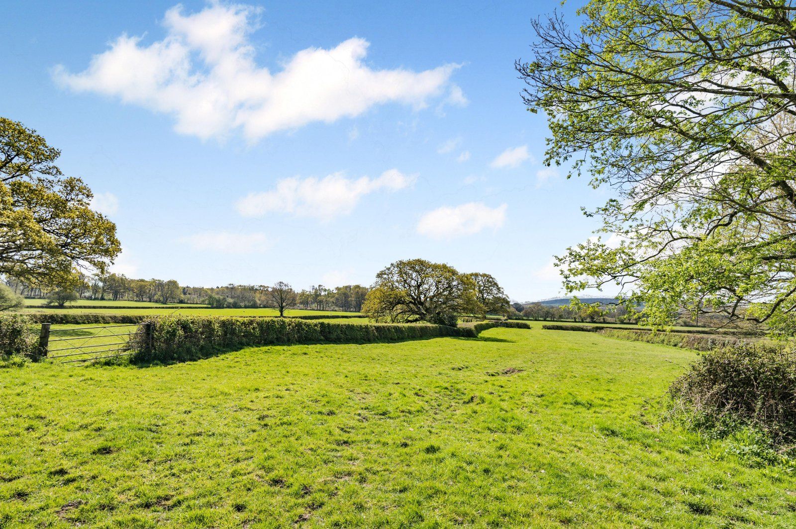 Land