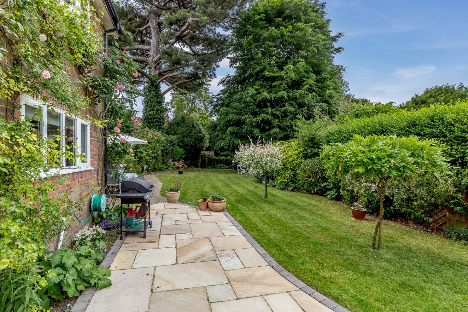 Terrace/Garden
