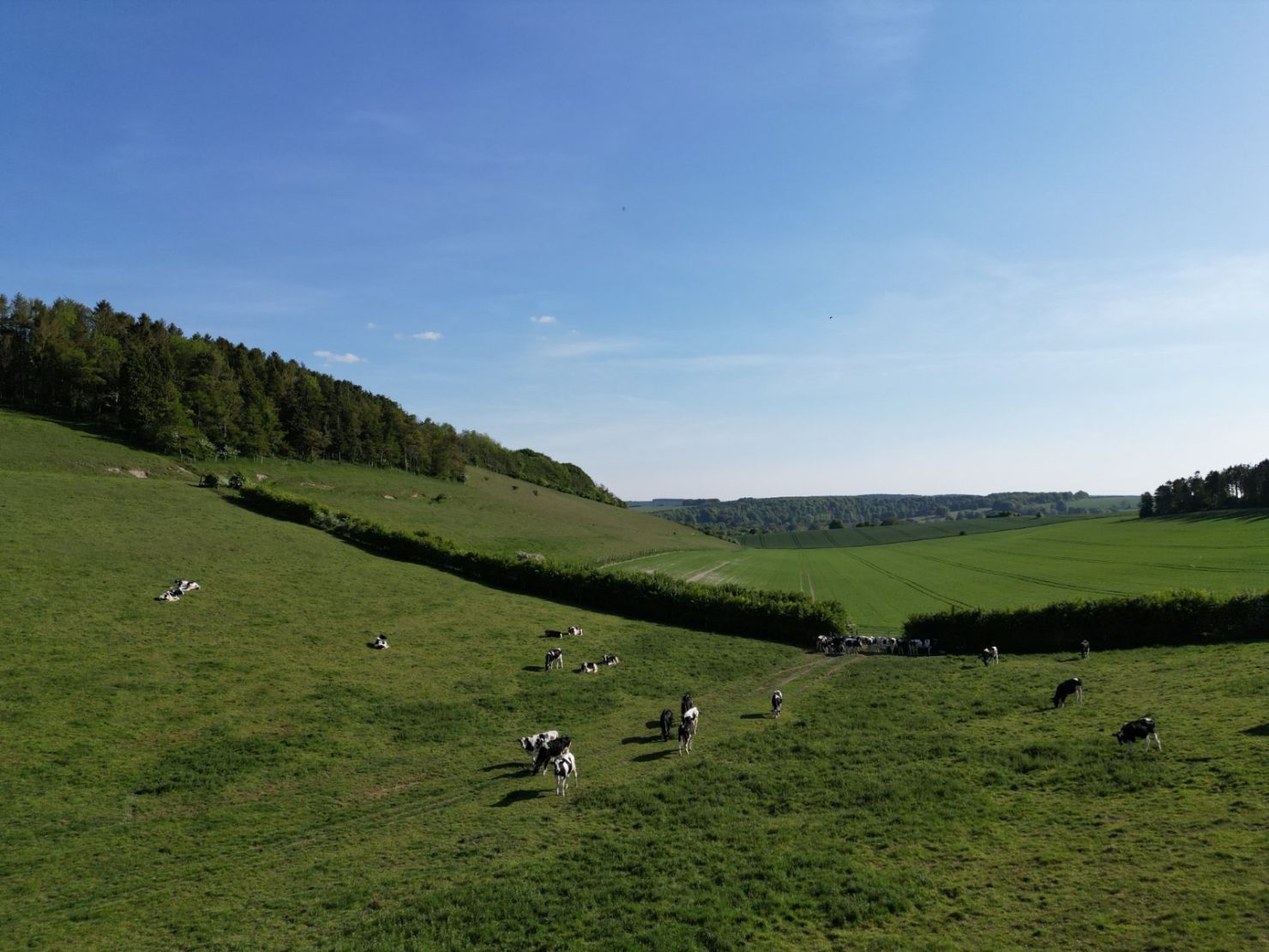 Valley