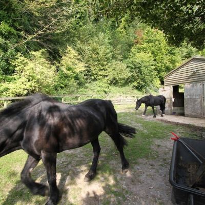 Stable Yard