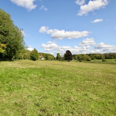 Field