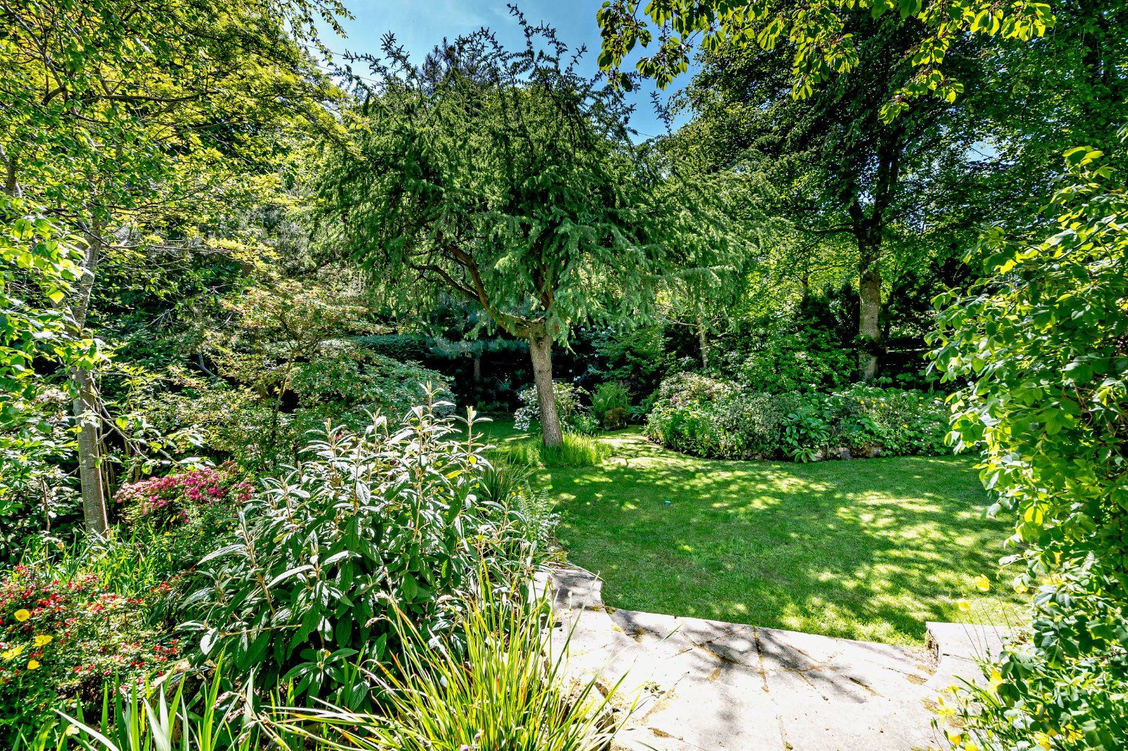 Leafy Garden