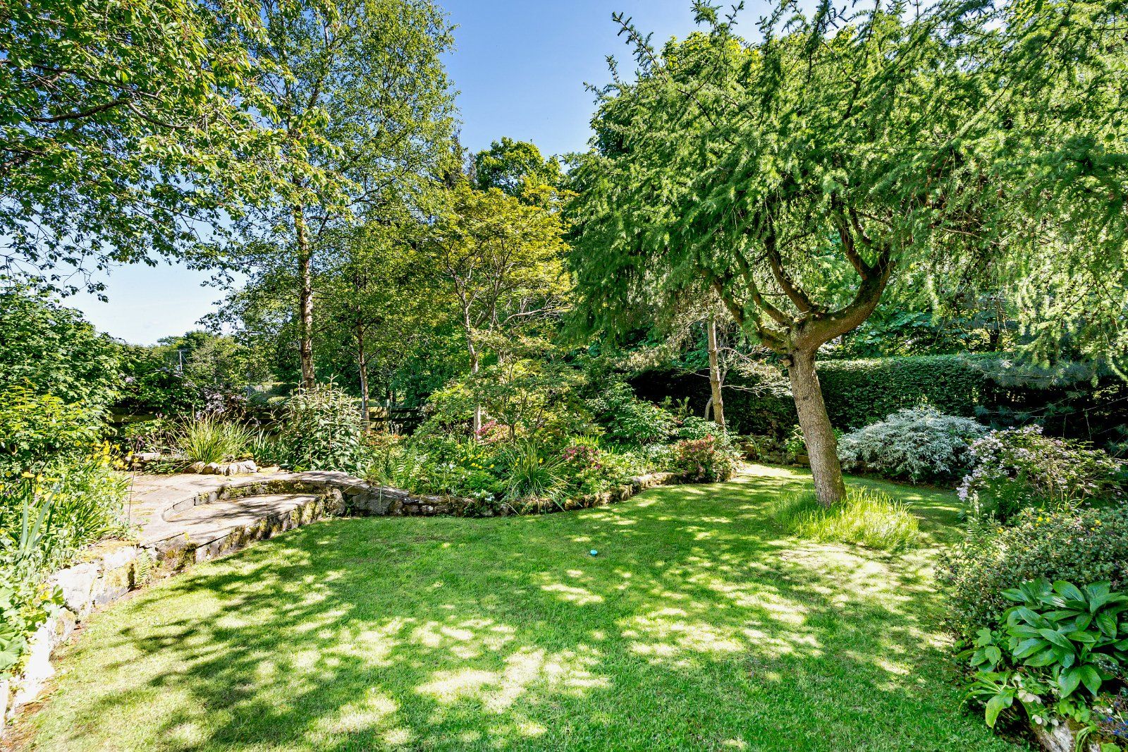 Trees & Shrubs