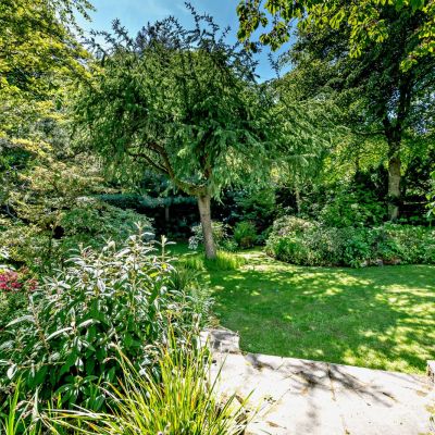 Leafy Garden