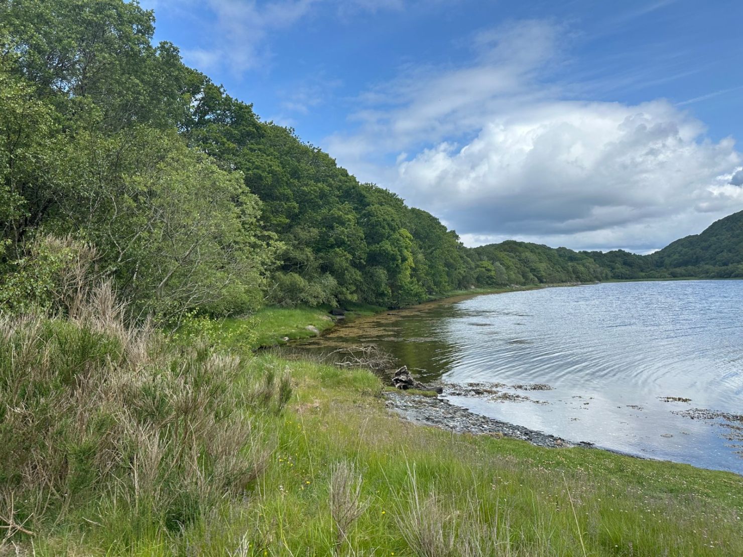 Coastal Boundary