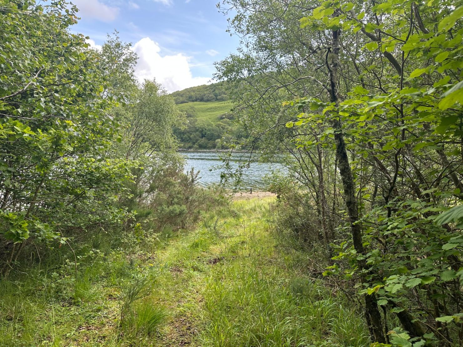 Native Woodland