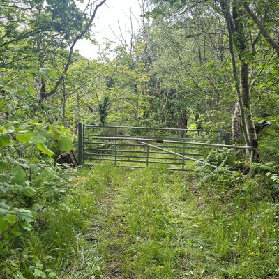 Native Woodland