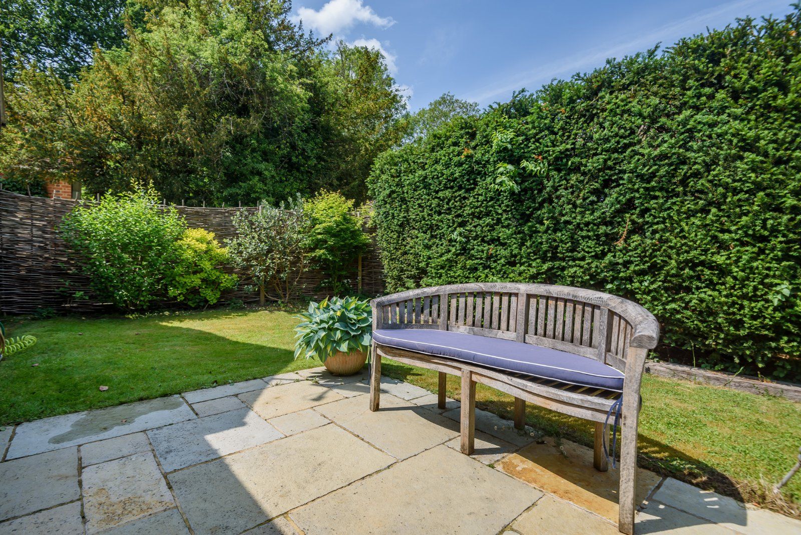 Back Garden