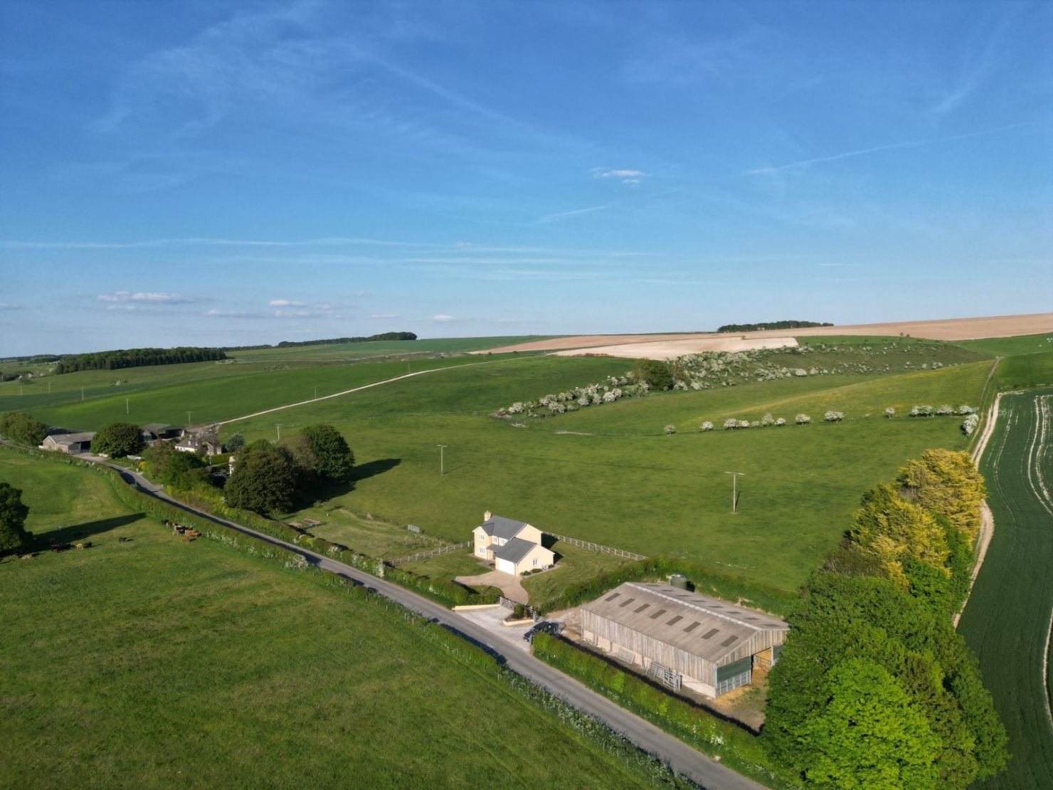 Auckland Farm