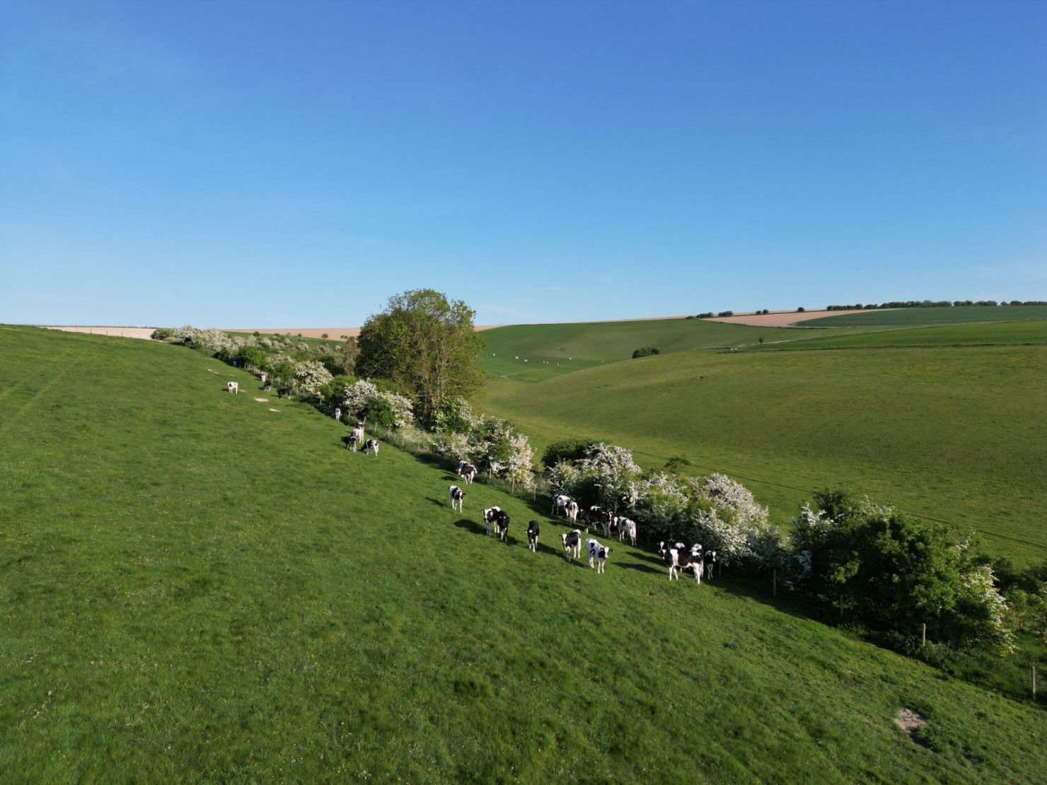 Valley