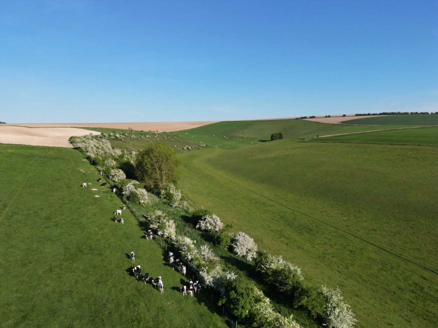 Valley