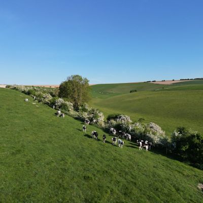 Valley