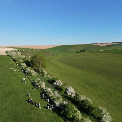 Valley