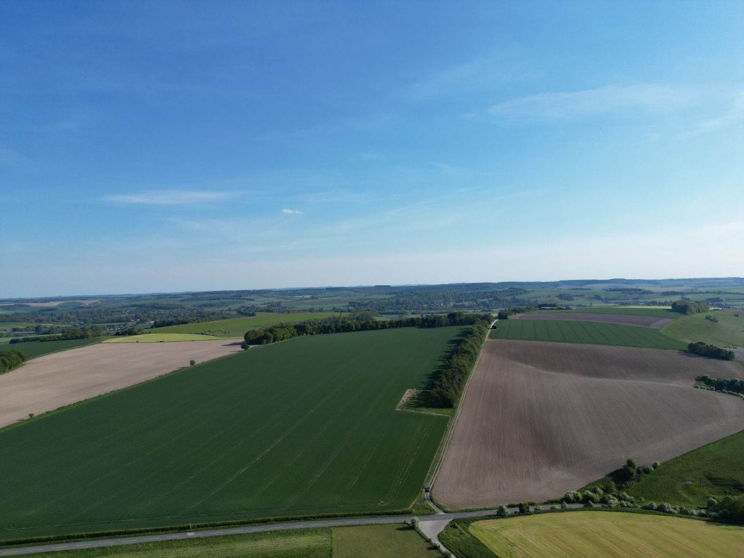 Land