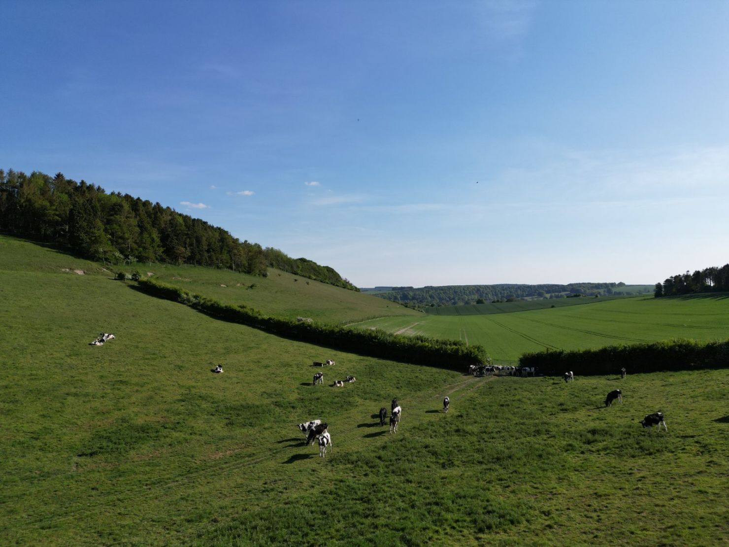 Valley
