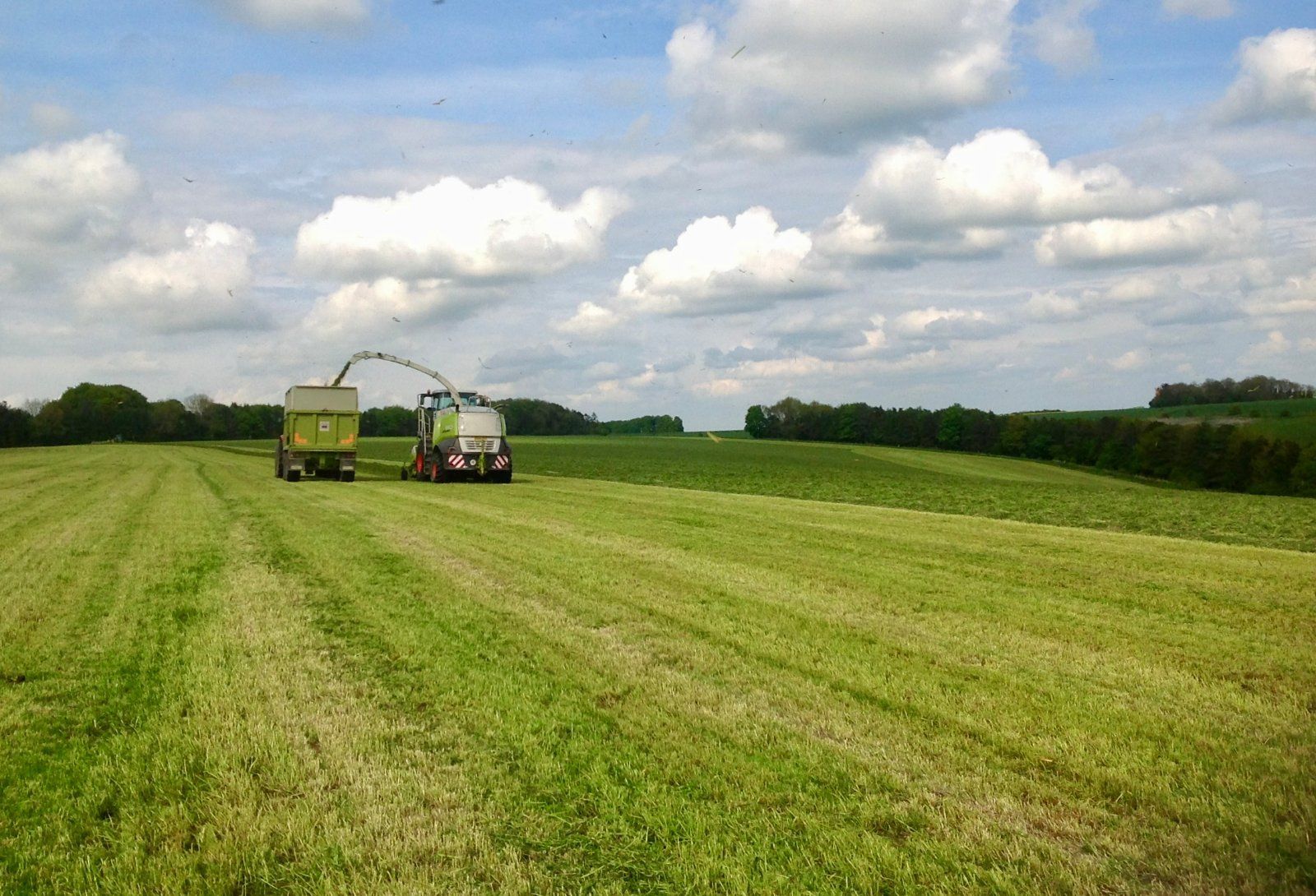Silaging