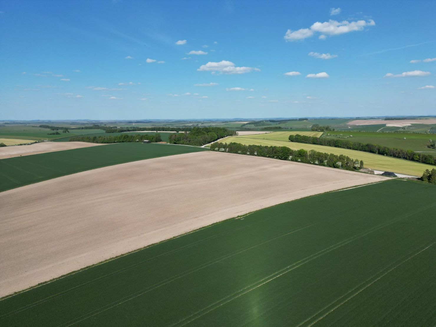 Land