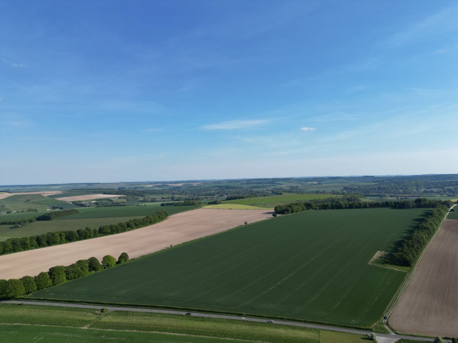 Land