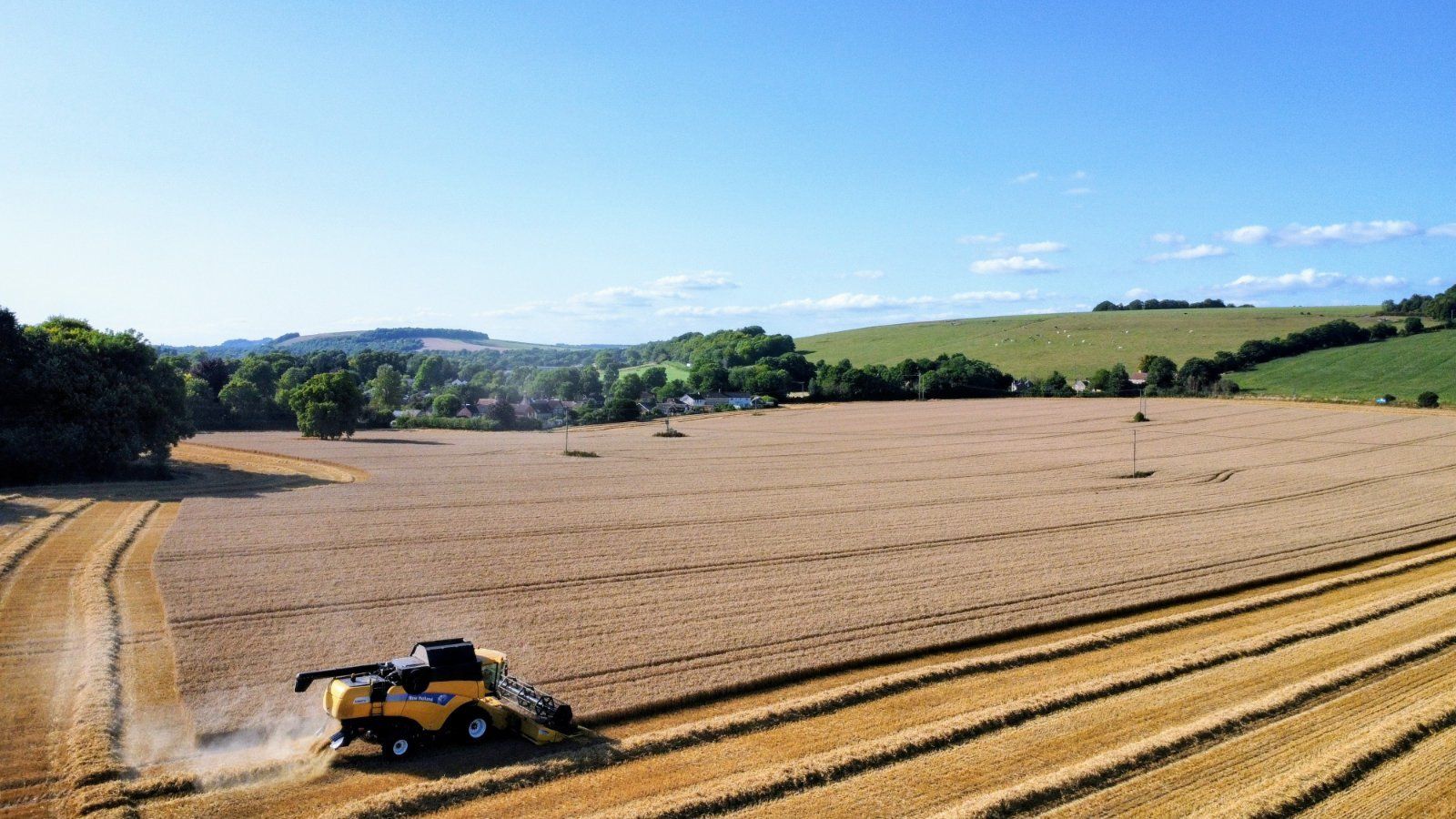 Harvest