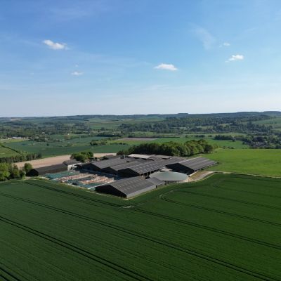 Manor