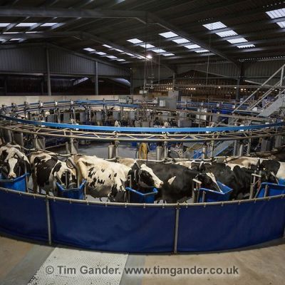 Parlour