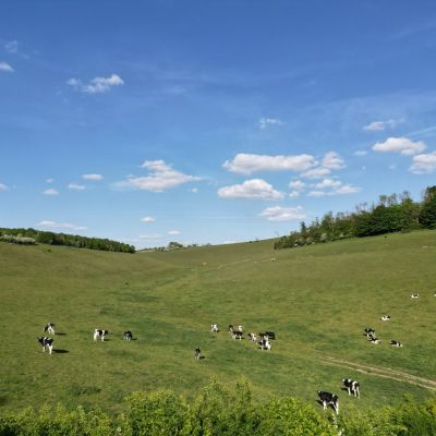 Valley