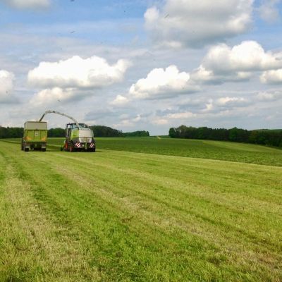 Silaging