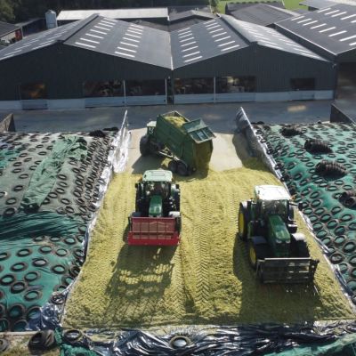 Silaging