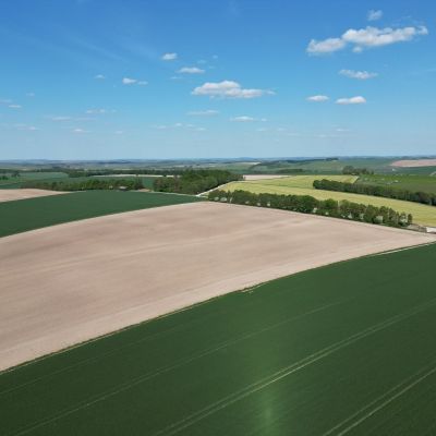 Land