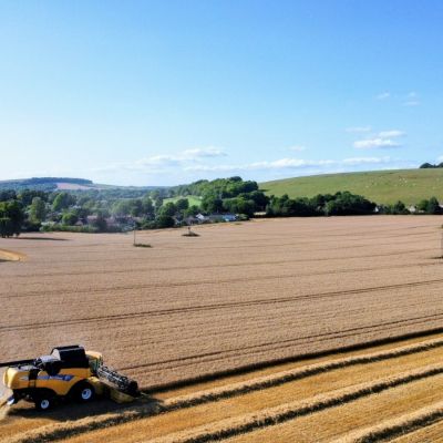 Harvest