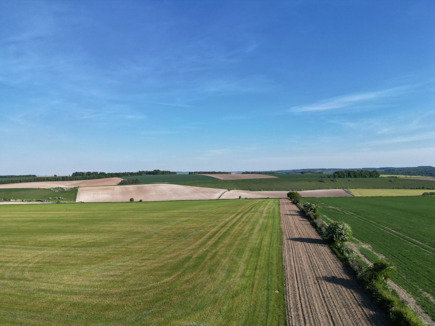 Land At Knook