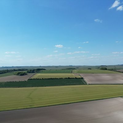 Land At Knook