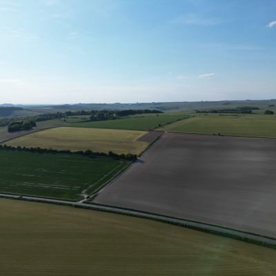 Land At Knook