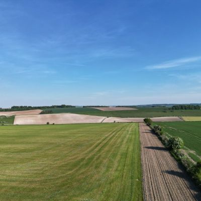 Land At Knook