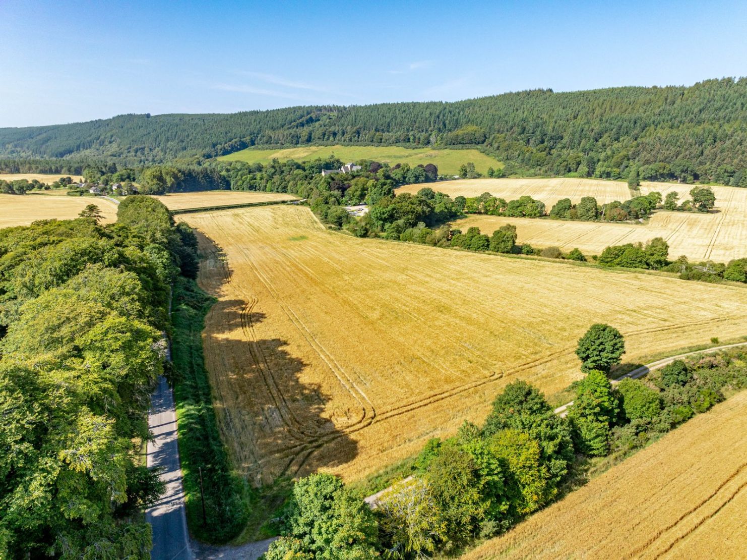 Pluscarden - Lot 2