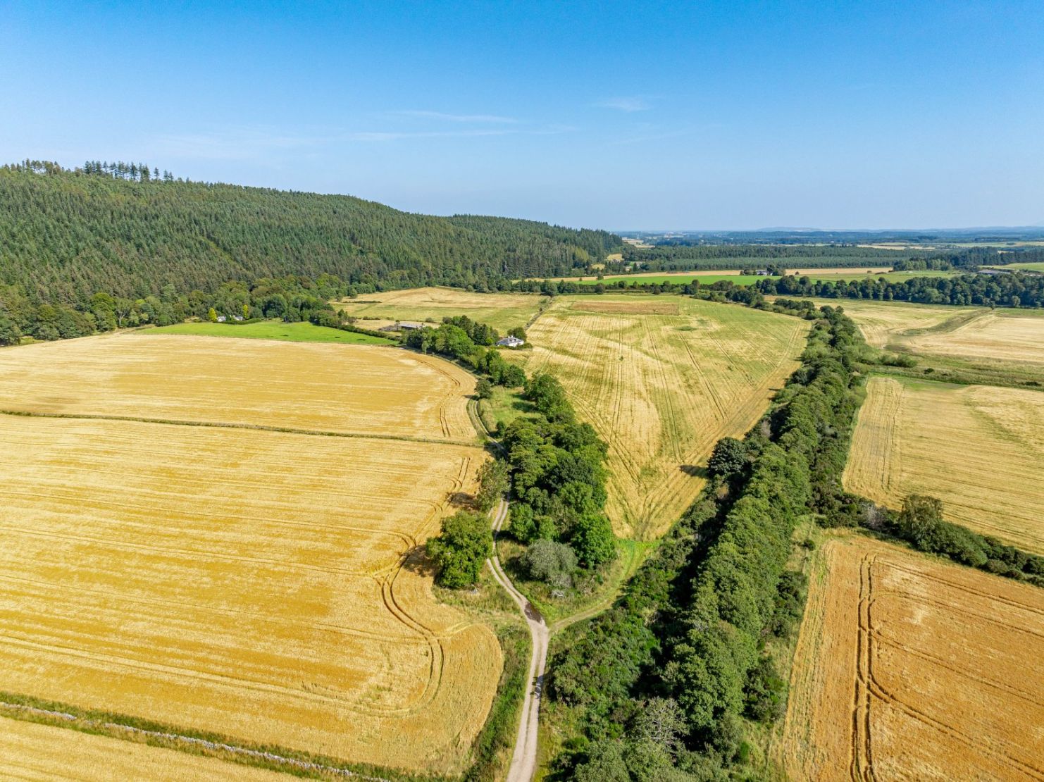 Pluscarden - Lot 2