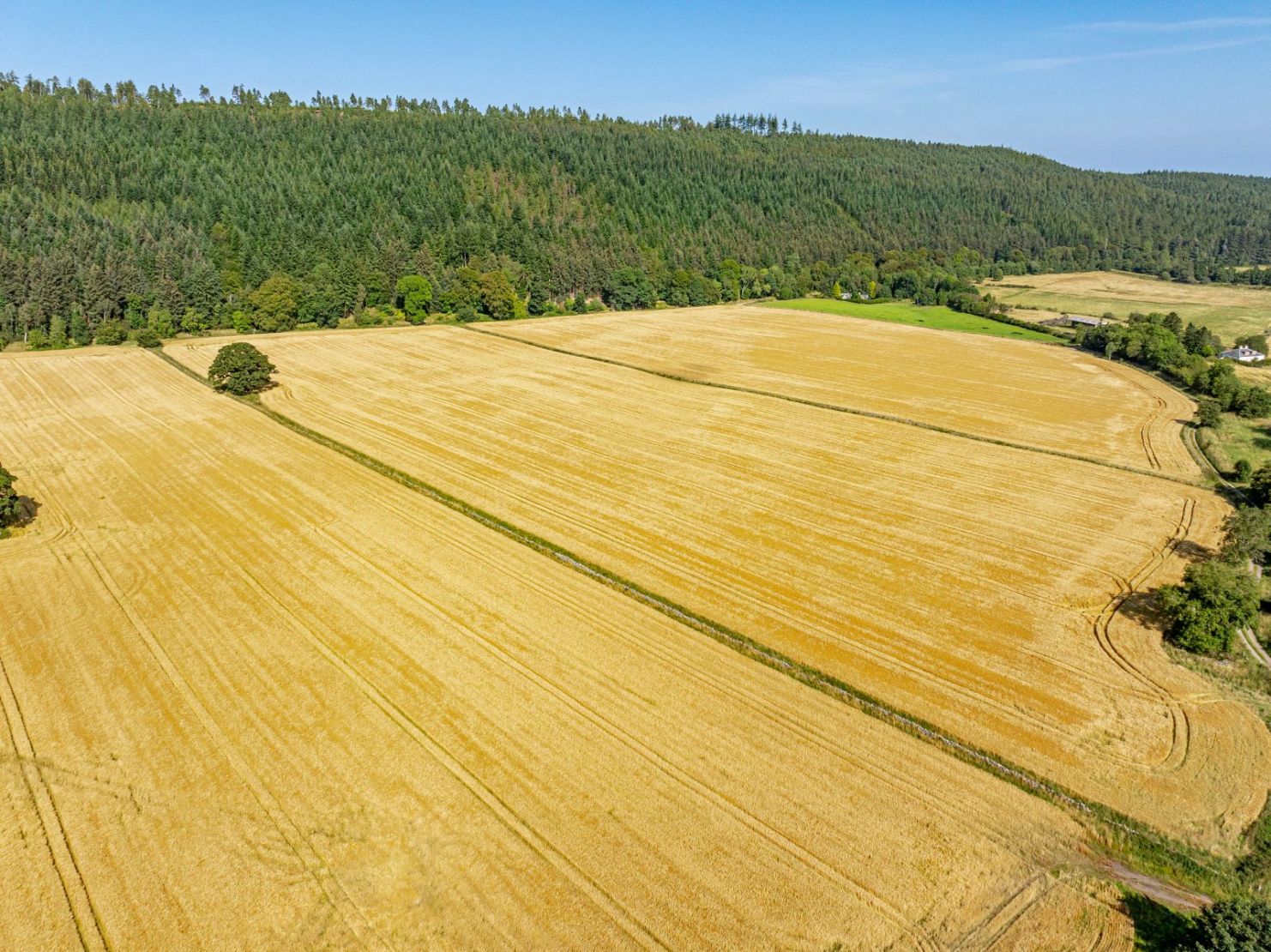Pluscarden - Lot 2