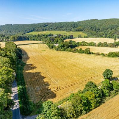 Pluscarden - Lot 2