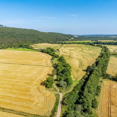 Pluscarden - Lot 2