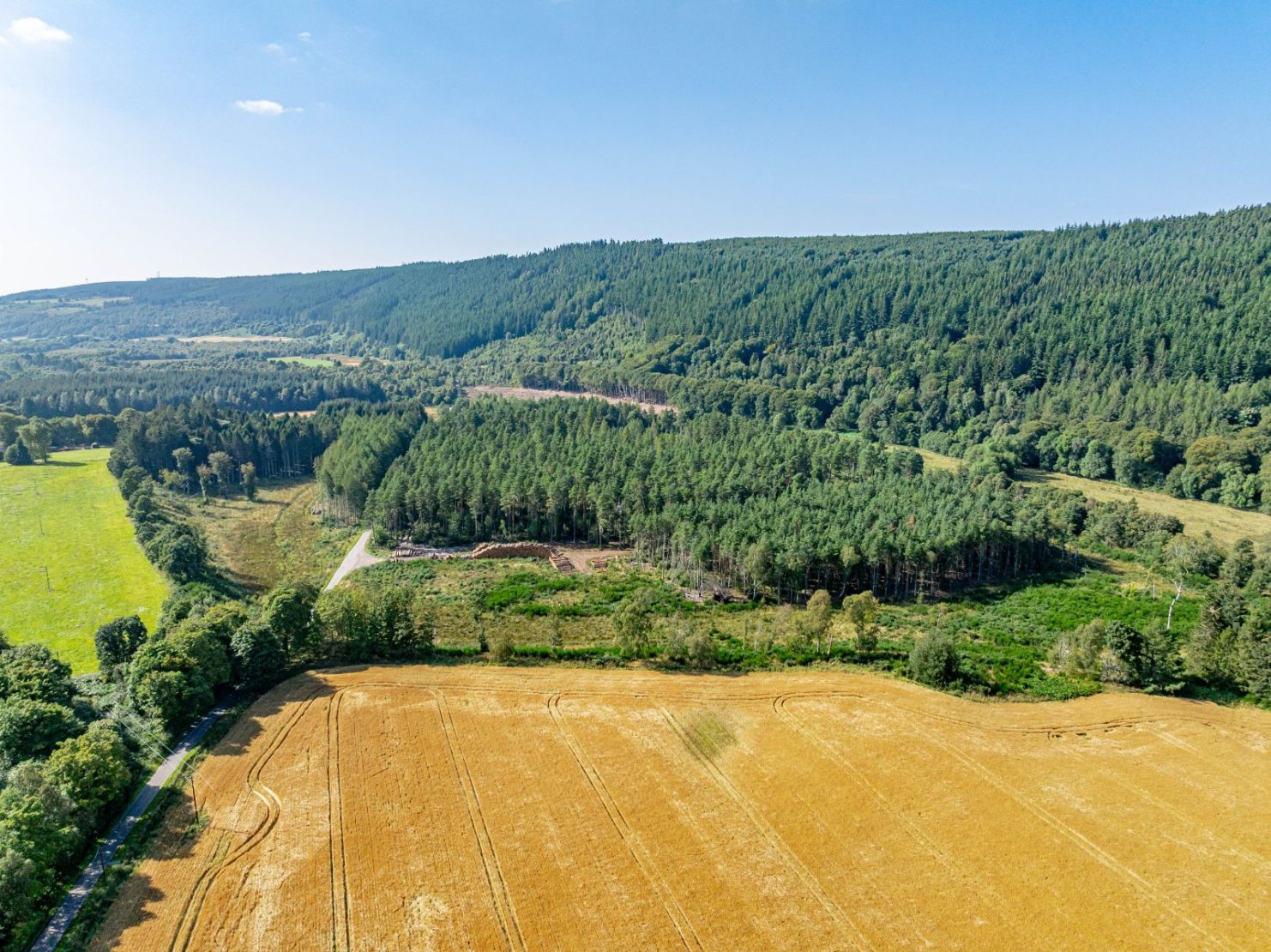 Pluscarden - Lot 1