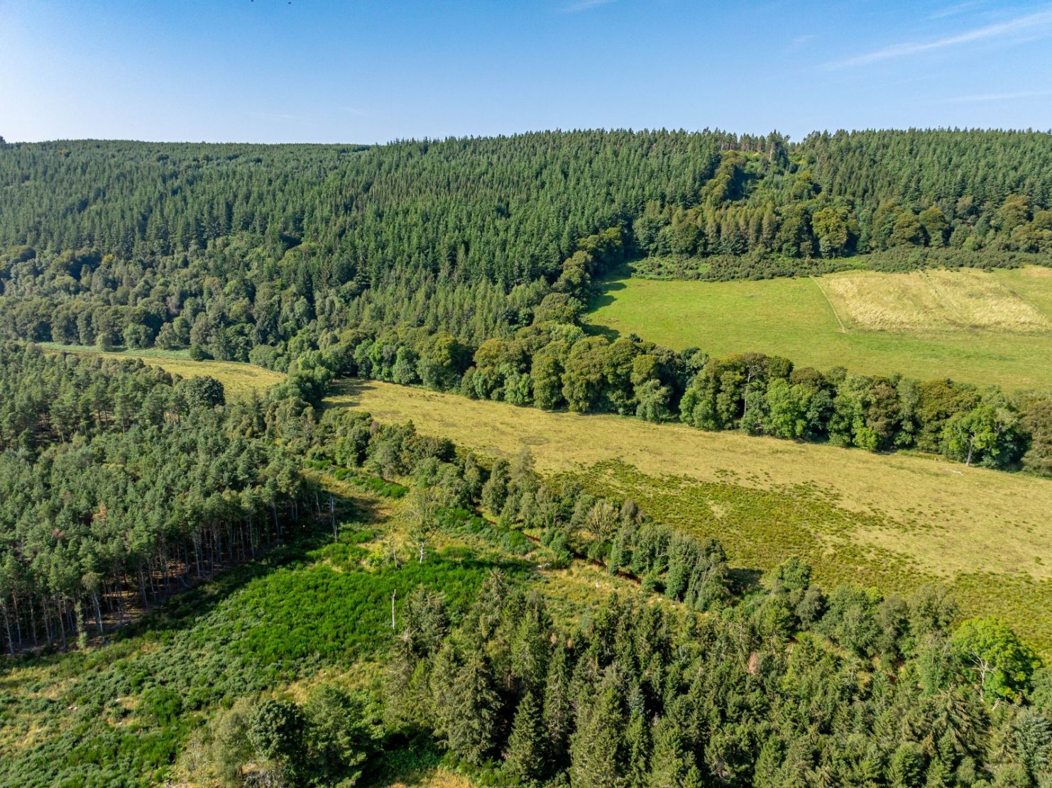 Pluscarden - Lot 1