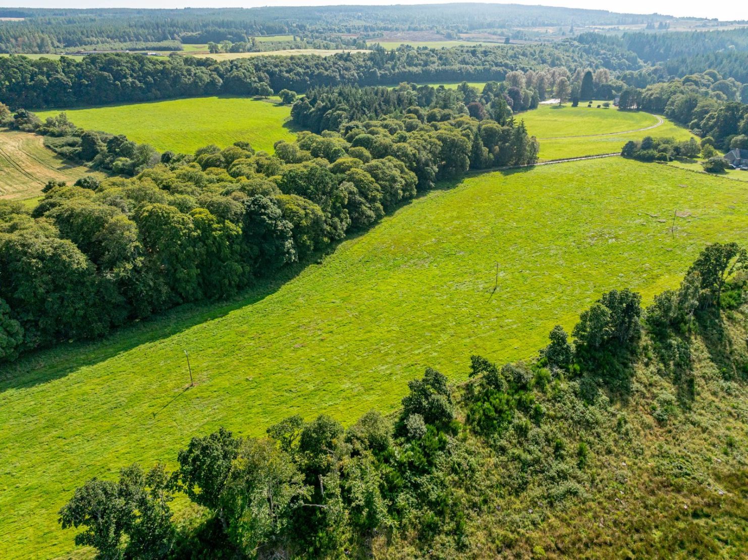 Pluscarden - Lot 1