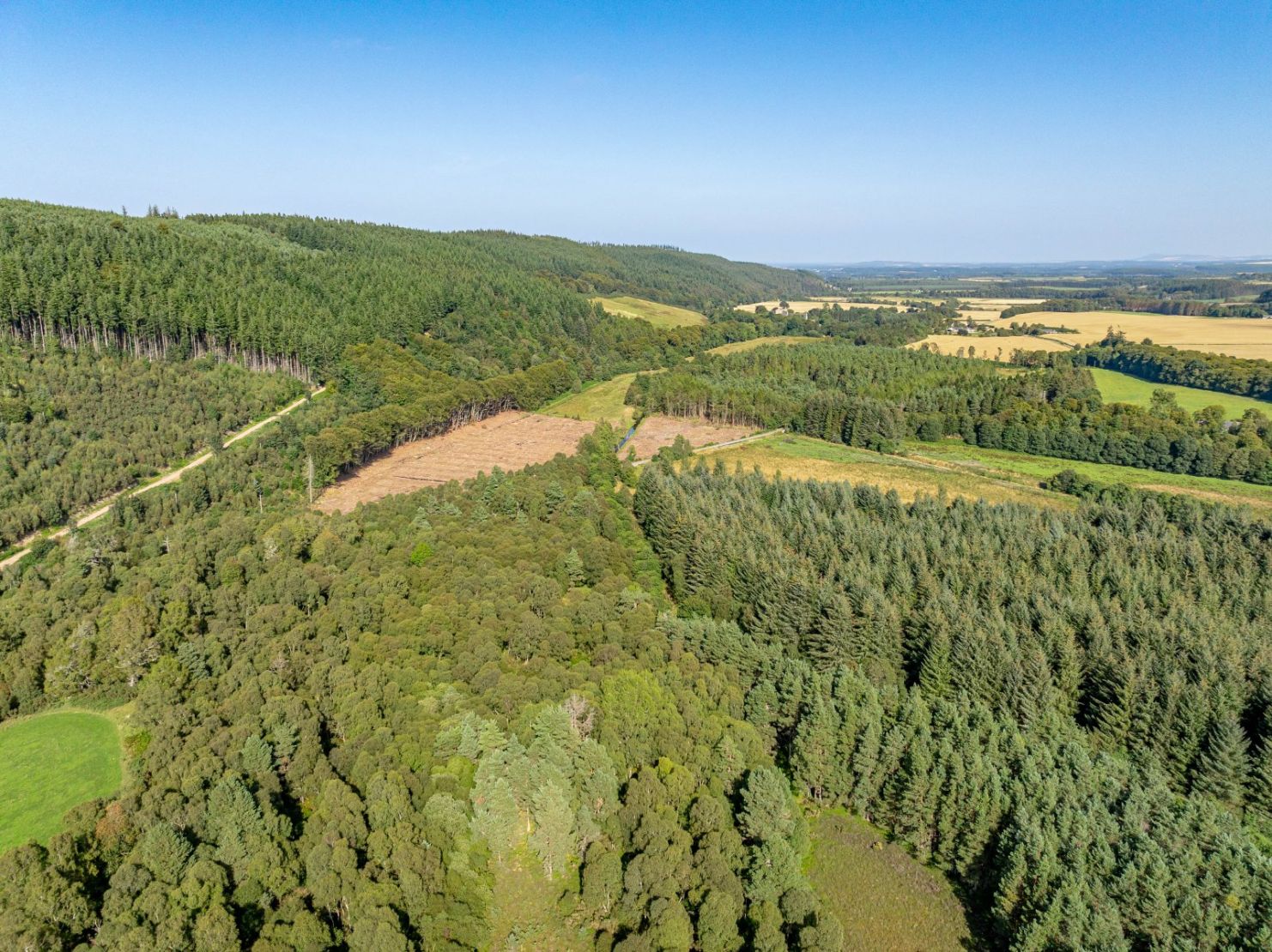 Pluscarden - Lot 1