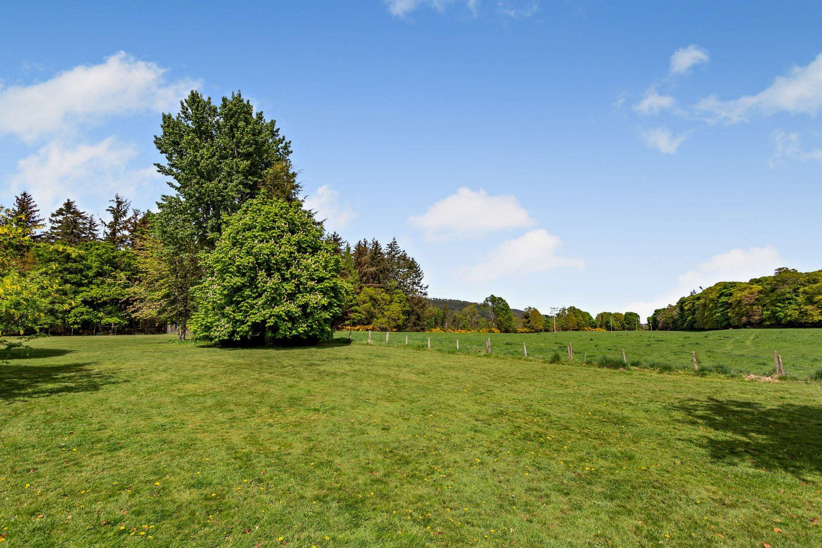 Westerton Cottage