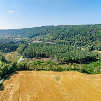 Pluscarden - Lot 1