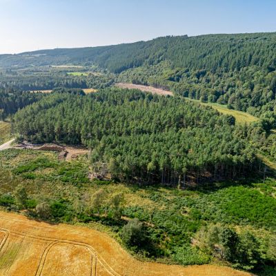 Pluscarden - Lot 1