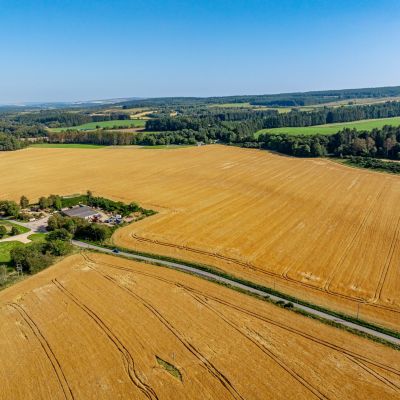 Pluscarden - Lot 1