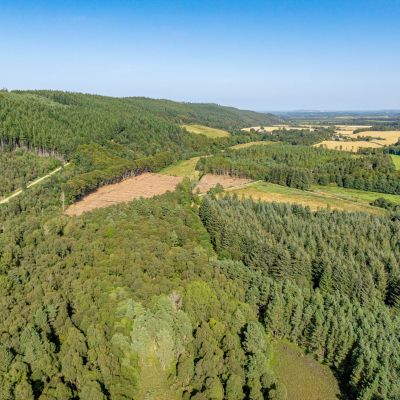 Pluscarden - Lot 1