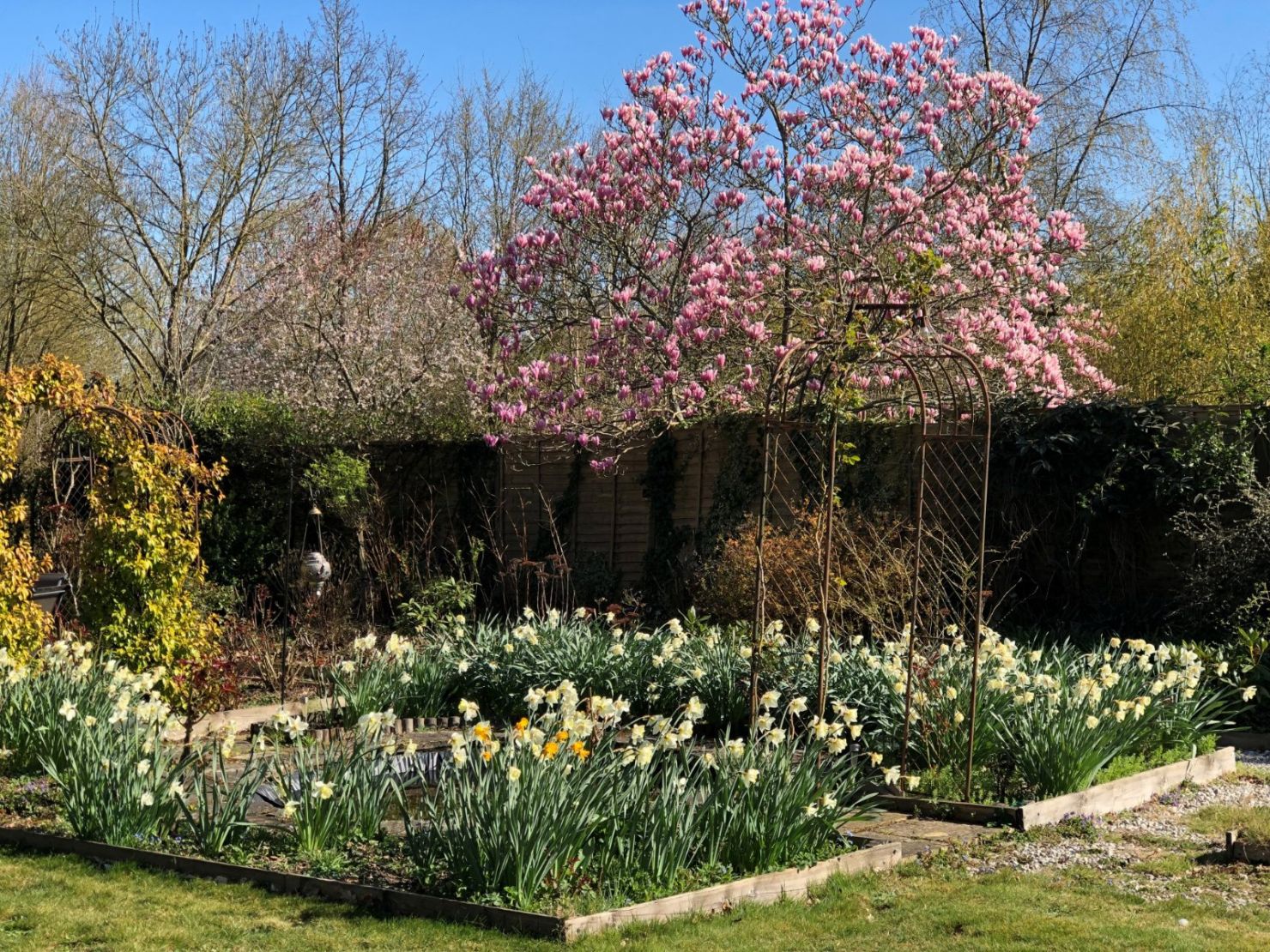 Garden